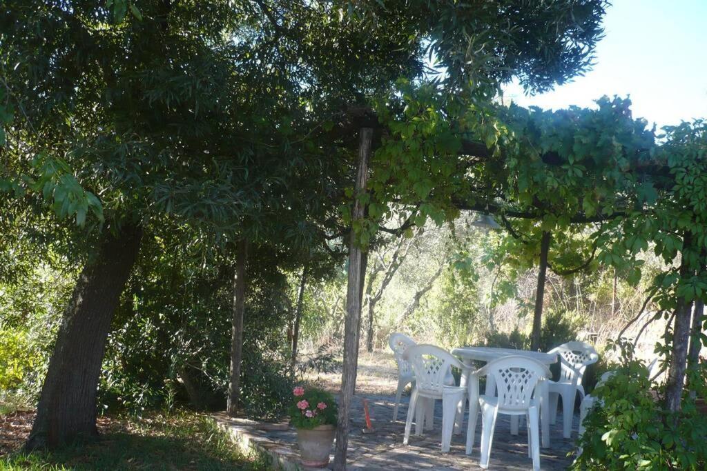 Casa Rural La Vega กาซาญา เดลา เซียร์รา ภายนอก รูปภาพ
